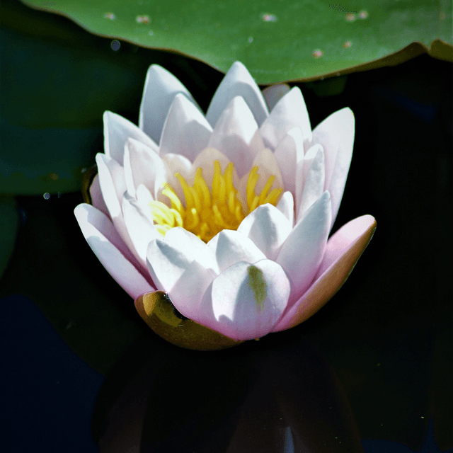 Tier 3: The Transformation at Beauty in Alchemy in La Grange Park, IL